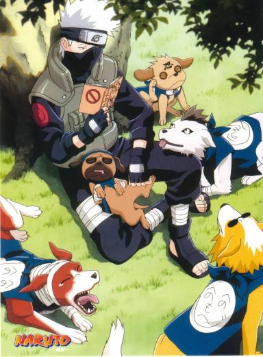 kakashi et ses chiens